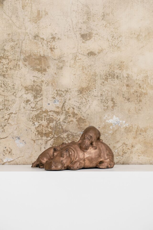 Gabriella_Crespi_Hippos