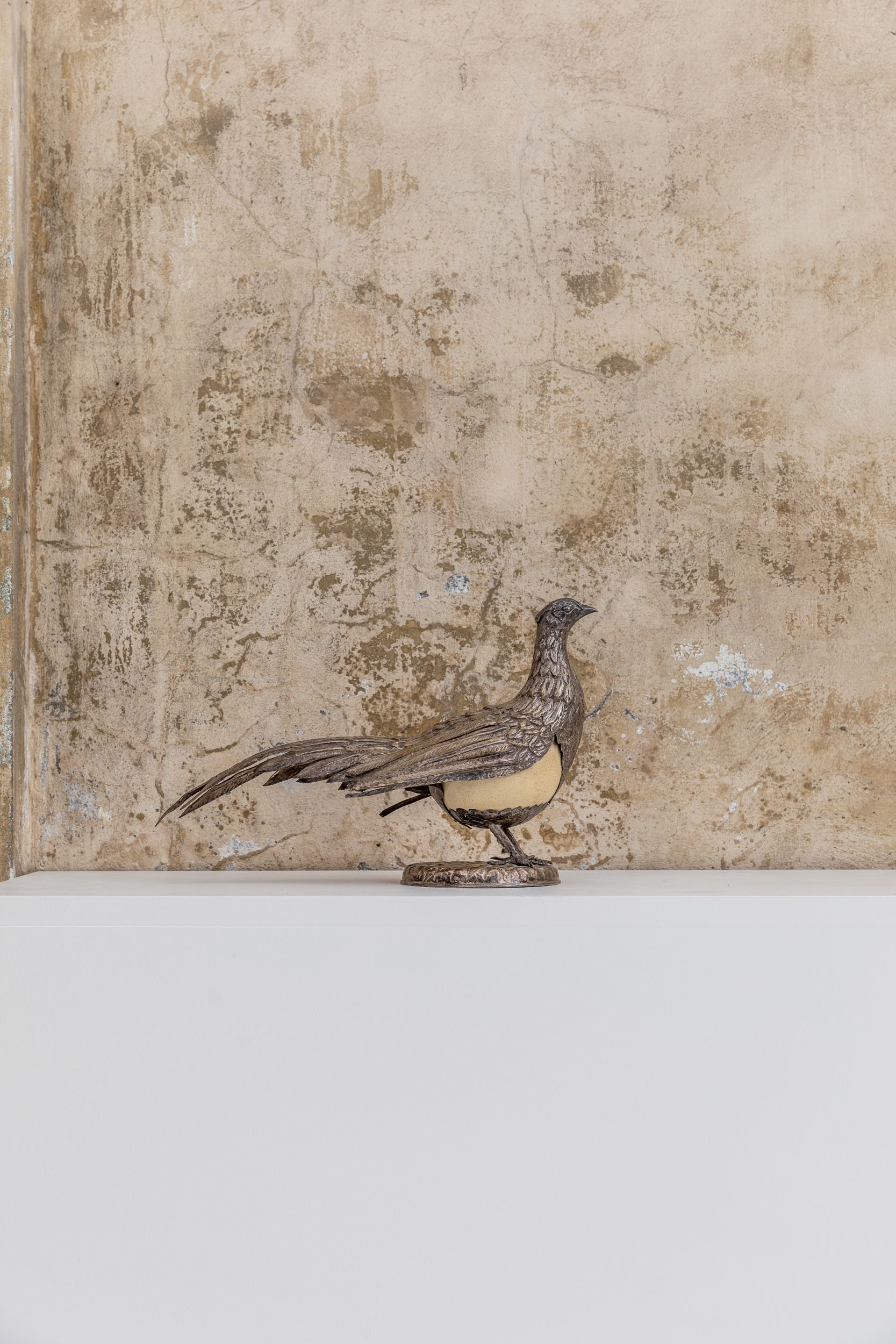 Gabriella_Crespi_Phaesant