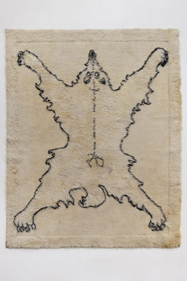 FMS_4223